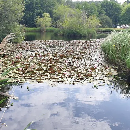 Du Petit Bonheur Bed & Breakfast