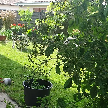 Du Petit Bonheur Bed & Breakfast Biscarrosse