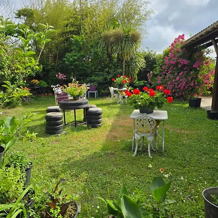 Du Petit Bonheur Bed and Breakfast Biscarrosse