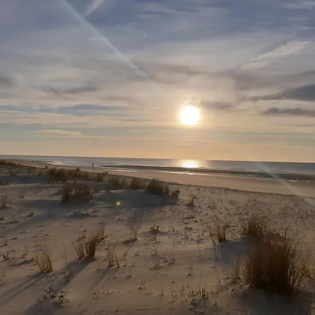 Du Petit Bonheur * Бискаррос