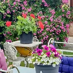 Bed and breakfast Du Petit Bonheur Biscarrosse