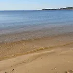 Du Petit Bonheur *