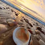 Bed & Breakfast Du Petit Bonheur Biscarrosse