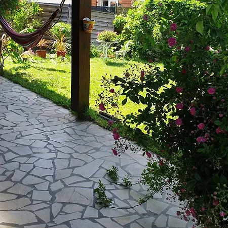 Bed & Breakfast Du Petit Bonheur Biscarrosse