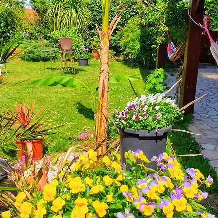 Bed & Breakfast Du Petit Bonheur *