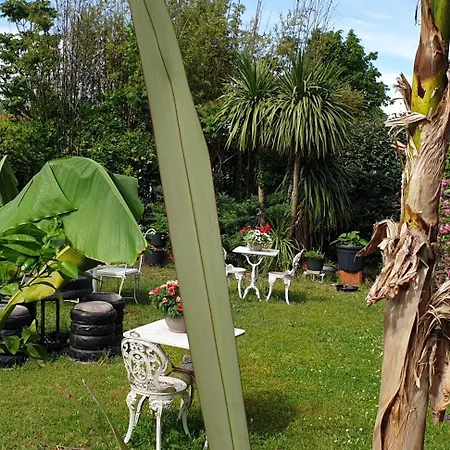 Du Petit Bonheur Bed & Breakfast Biscarrosse