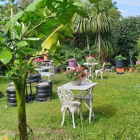 Bed & Breakfast Du Petit Bonheur *