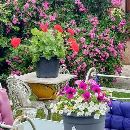 Bed & Breakfast Du Petit Bonheur Biscarrosse
