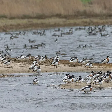 לינה וארוחת בוקר Du Petit Bonheur *