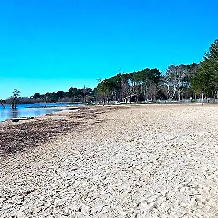 Du Petit Bonheur * Biscarrosse