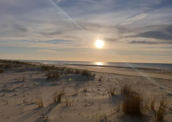 Du Petit Bonheur * Biscarrosse